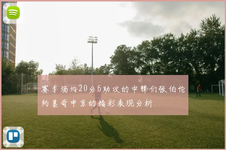 赛季场均20分6助攻的中锋们张伯伦约基奇申京的精彩表现分析