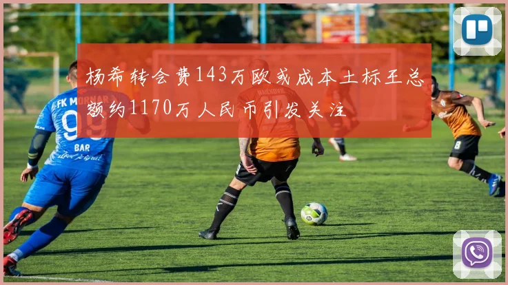 杨希转会费143万欧或成本土标王总额约1170万人民币引发关注